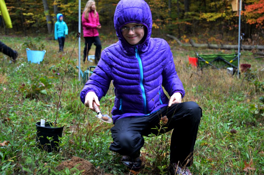 Goodwillie Environmental School