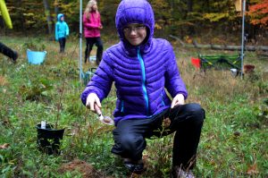 Goodwillie Environmental School 