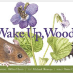 Wake Up, Woods - Book