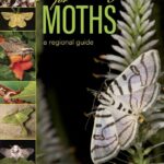 Gardening for Moths