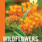 Wildflowers of the Midwest