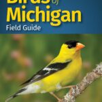 Birds of Michigan Field Guide