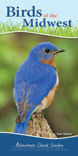 Birds of the Midwest - Adventure Quick Guide