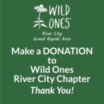 Donation