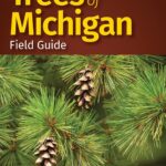 Trees of Michigan Field Guide
