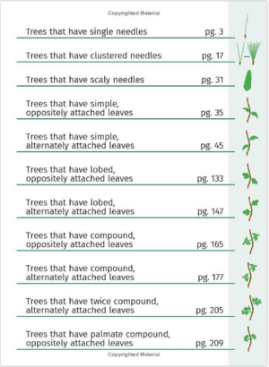 Trees of Michigan Field Guide - Image 2
