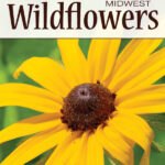 Midwest Wildflowers Playing Cards