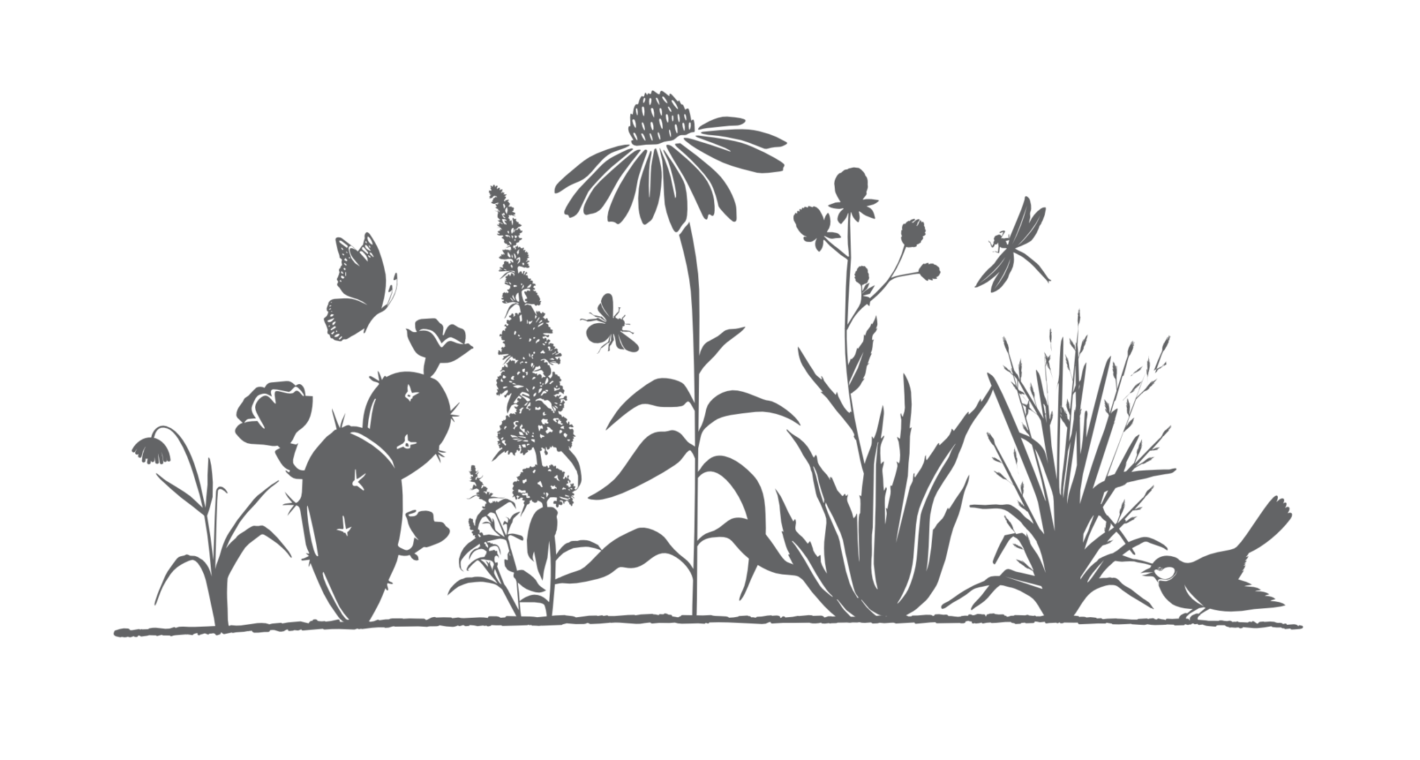 natives-to-know-wintergreen-wild-ones-river-city-grand-rapids-area
