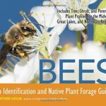 Bees: An Identification and Native Plant Forage Guide