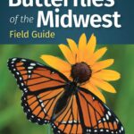 Butterflies of the Midwest - Field Guide