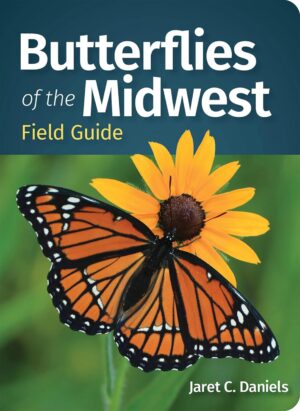 Butterflies of the Midwest - Field Guide