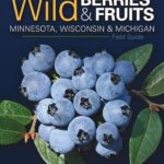 Wild Berries and Fruits of Minnesota, Wisconsin & Michigan