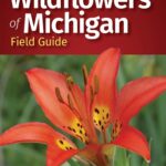 Wildflowers of Michigan - Field Guide