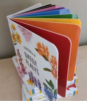 A Rainbow of Native Plants book - Image 4