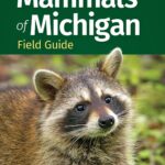 Mammals of Michigan - Field Guide