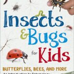 Insects and Bugs for Kids: An Intro to Entomology