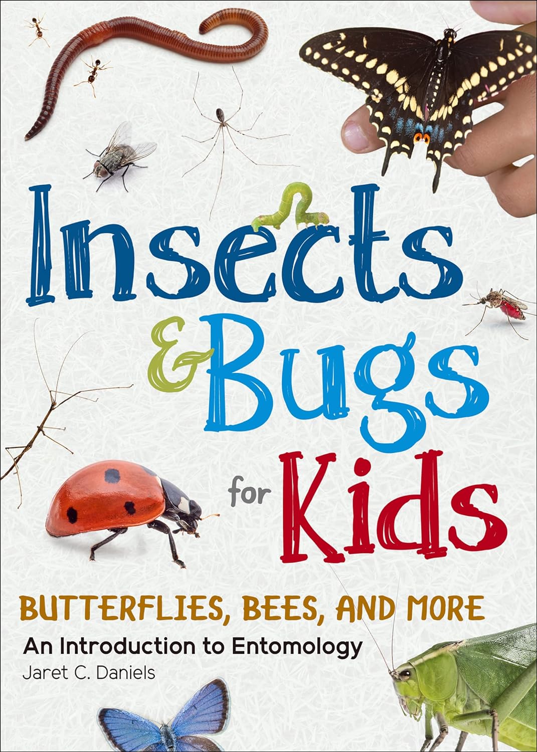 Insects and Bugs for Kids: An Intro to Entomology