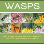 Wasps: Their Biology, Diversity and Role as Beneficial Insects and Pollinators of Native Plants
